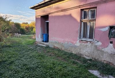 Casa Biharkeresztes, 2500 mp Casa Biharkeresztes, 2500 mp - 3