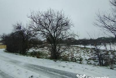 Teren de 640 mp, în Mischii - 1