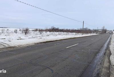 Teren de 2500 mp, în Frumușani - 2