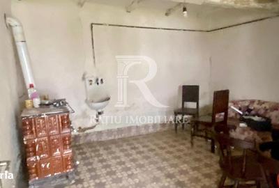 Casă cu 4 camere cu Teren 2000 Mp în Borș - 18