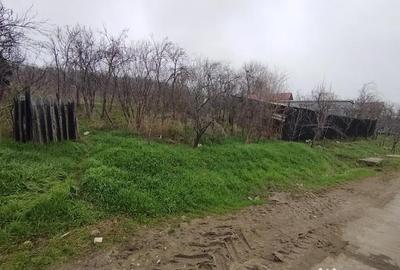 Teren în Brestei - 5