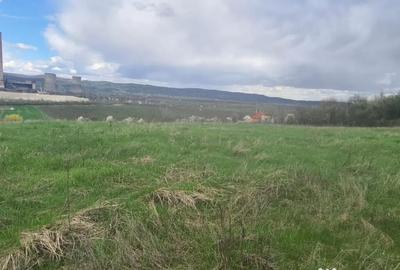 Teren de 12264 mp, în Central - 3