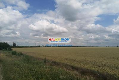 Teren intravilan de 52000 mp, în Nord - 2