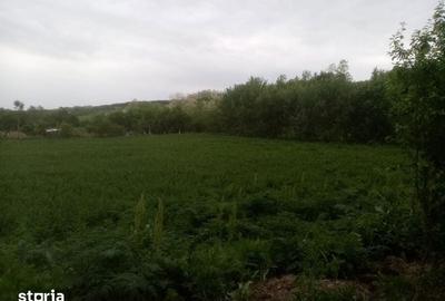 Teren de 2464 mp, în Central - 2