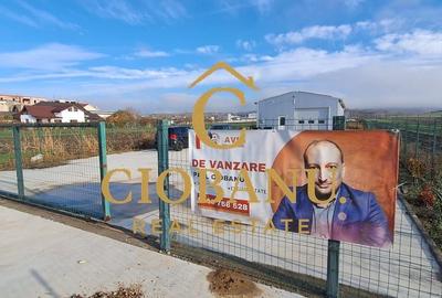 Hala de vanzare in Racarii de Jos - 2