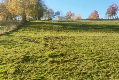 Teren intravilan de vanzare – Bran, Sohodol - 5