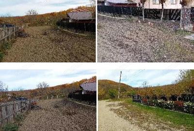 Cota 1/8 Teren intravilan- Com. Calinesti, jud. Arges - 6