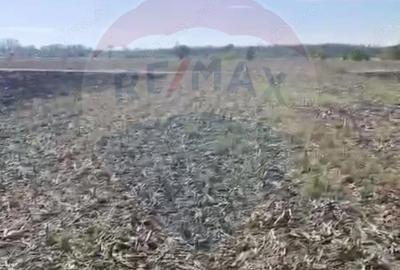 Teren de 2900 mp, în Tântava - 2