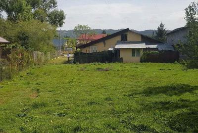 Teren intravilan in Breaza-- 2017 mp--50.000e Teren intravilan in Breaza-- 2017 mp--50.000e - 7