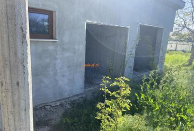 Casa de in sat Botarlau , parter si mansarda cu suprafata - 11