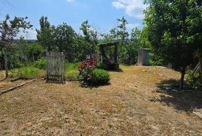 Casa boiereasca de vanzare Varsatura - 13