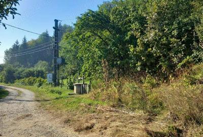 Teren de 2600 mp, în Rădășeni - 2