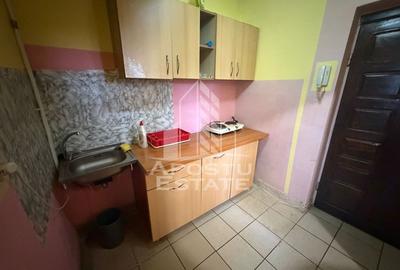 Garsonieră semidecomandată în Buziașului - 2