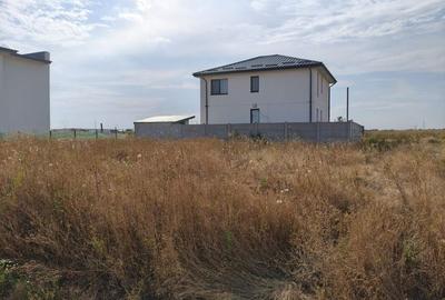 Teren intravilan, 320 mp - Str Primaverii, Berceni Teren intravilan, 320 mp - Str Primaverii, Berceni - 1