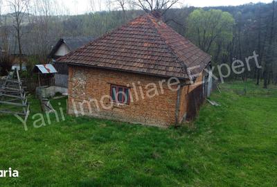 Casă cu 2 camere cu Teren 5800 Mp în Valea Danului - 6