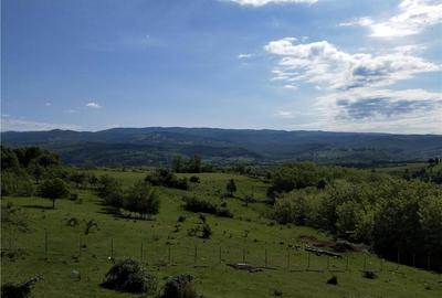 Casă cu 3 camere în Brusturi - 2
