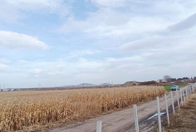 Teren intravilan industrial,str.Durau - 4