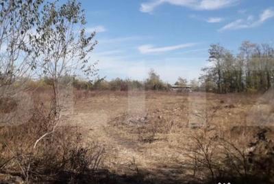 Teren de 7240 mp, în Abator - 1