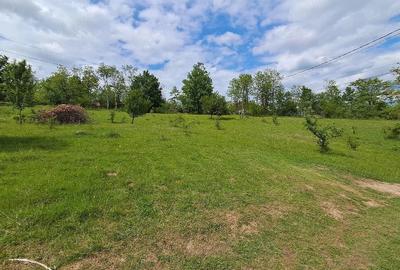 Teren de 2800 mp, în Periferie - 2