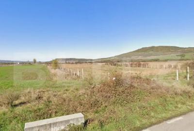 Teren de 8700 mp, în Central - 2