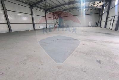 Spațiu industrial, de 800 mp, în Central - 13