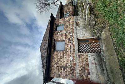 Casa de vanzare in sat Dobricione?ti - 3