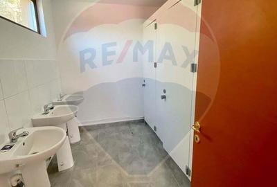 Spatiu si Teren Cartier exclusivist - 4