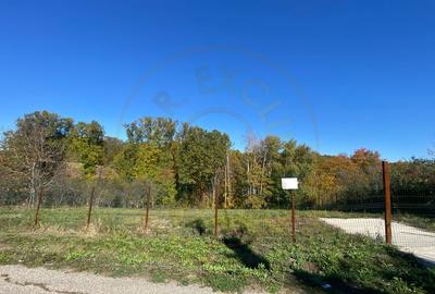 Teren 969 mp intravilan Babana, jus. Arges. Comision 0% - 2