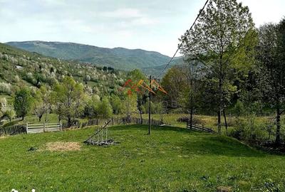 Teren de 23000 mp, în Valea Doftanei - 3