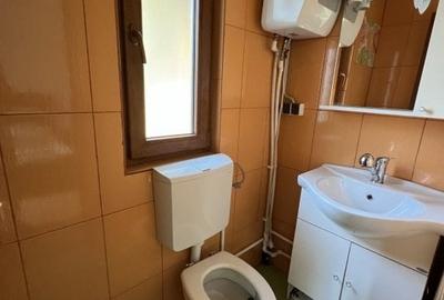 Casa-langa studiourile Buftea, 2 constructii, curte cu pomi, 2500mp, langa lac - 19