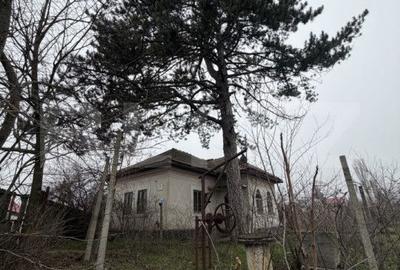 Casă cu 3 camere cu Teren 2714 Mp în Dobrești - 4