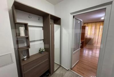 Garsonieră decomandată în Brazda lui Novac - 3