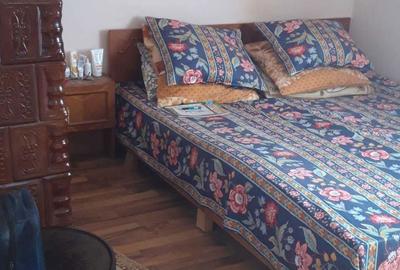 Casă cu 2 camere în Târsa - 7