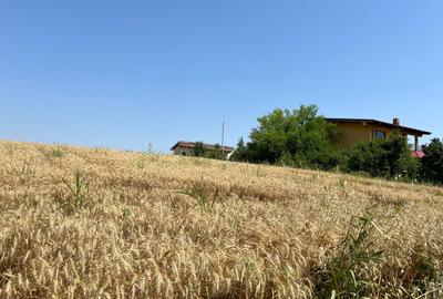 Ciolpani -Ilfov - teren 4000 mp - 4