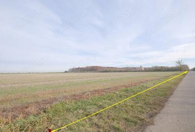 Teren de 270000 mp, în Gherghița - 9