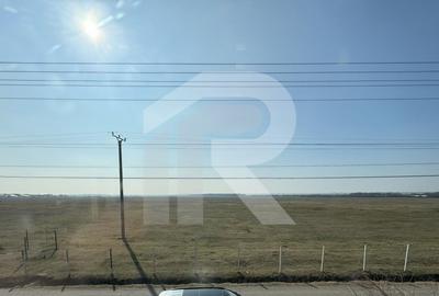 Gageni, casa care inseamna acasa, zona linistita, teren generos - 4