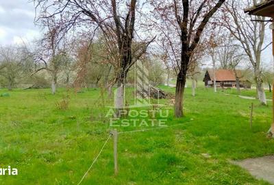 Casă cu 4 camere cu Teren 1079 Mp în Vârfurile - 6