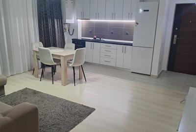 Apartament cu 2 camere decomandat în Șelimbăr - 12