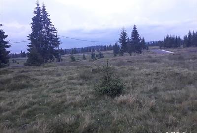 Teren în Beliș - 5