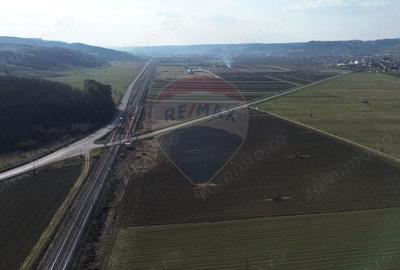 Teren de 19319 mp, în Hoghilag - 3