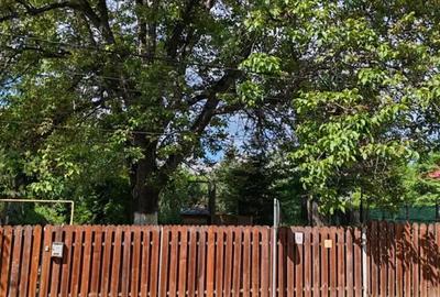 Casa de vanzare - 10