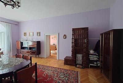 Casa cu aer nobil in Baia de Cris - 3