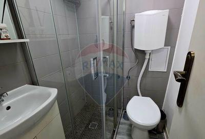 Apartament cu 1 camere de inchiriat in zona 1 Mai - 9