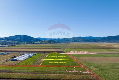 Teren 7,500mp Tarlungeni / Strada Zizinului - 4