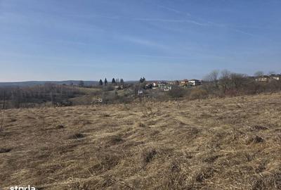 Spațiu comercial, în Feleacu