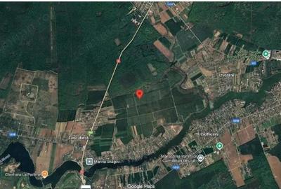 Teren extravilan Snagov, ID: R2884549 - 2