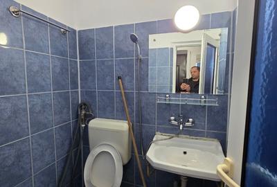 Decebal, Rond Alba Iulia, pe Moise Nicoara, renovata, mobilata si utilata - 3