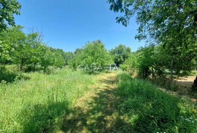 Casă cu 5 camere cu Garaj în Boroșteni - 4