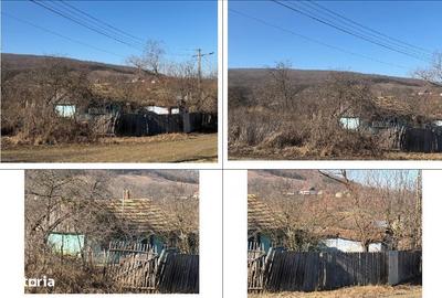 Casă cu 2 camere cu Teren 2602 Mp în Dumești - 2