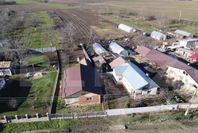 Casă cu 4 camere cu Teren 600 Mp în Central - 2